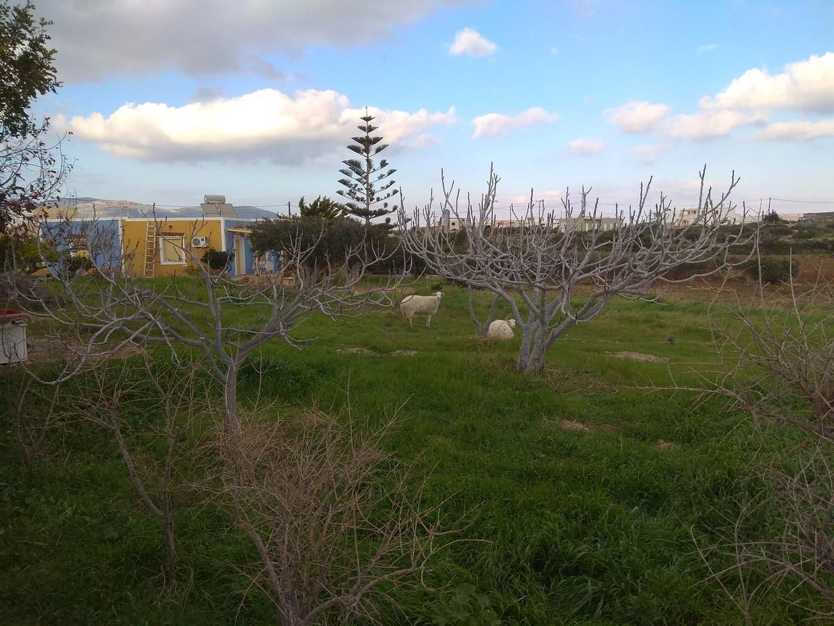 Country Studios Karpathos Town  Exterior photo